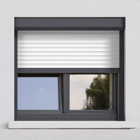 Volet roulant rénovation radio RS100 IO [Somfy]