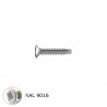 small-Vis inox autoperceuse 3.9 x 13 - RAL 9016