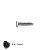 small-Vis inox autoperceuse 3.9 x 13 - RAL 7016